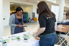 September 27-28, 2019: PA Senator Sharif Street, 3rd District joined the Diasporic Alliance for Cannabis Opportunities (DACO) to host a two-day conference on the emerging opportunities in the Cannabis Industry for marginalized communities.