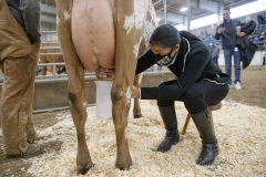 January 14, 2022: Senators Sharif Street and Amanda Cappelletti participate in the 2022 Celebrity Cow Milking Contest.