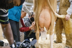 January 14, 2022: Senators Sharif Street and Amanda Cappelletti participate in the 2022 Celebrity Cow Milking Contest.