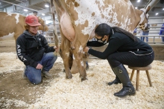 January 14, 2022: Senators Sharif Street and Amanda Cappelletti participate in the 2022 Celebrity Cow Milking Contest.