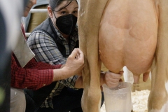 January 14, 2022: Senators Sharif Street and Amanda Cappelletti participate in the 2022 Celebrity Cow Milking Contest.