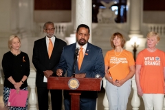 June 5, 2019: Senator Street joins fellow members of the Pennsylvania Senate Democratic Caucus to outline various policy on gun reform in the commonwealth in an effort to provide substantive reform that addresses the proliferation of firearms as well as those effects at a state level.