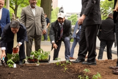 May 7, 2019:  Senator Street joins his fellow Legislative Hunger Caucus members at an event  to mark the opening of the 10th season of the Capitol Hunger Garden.