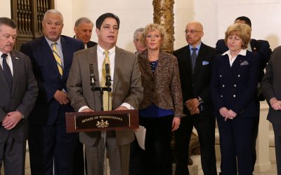 Senate Democrats Call for Special Session on Property Tax Relief or Elimination